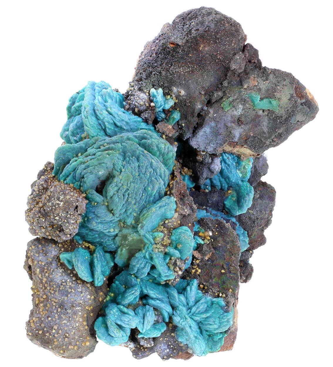 Chrysocolla Psm Azurite
