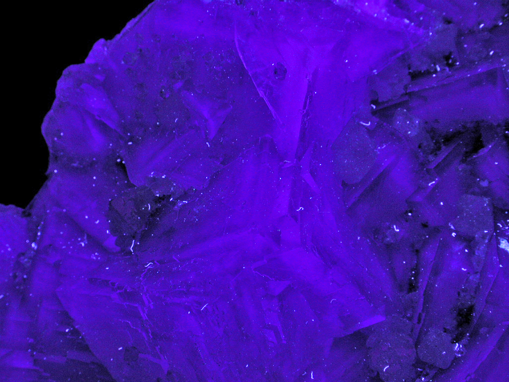 Fluorite & Scheelite