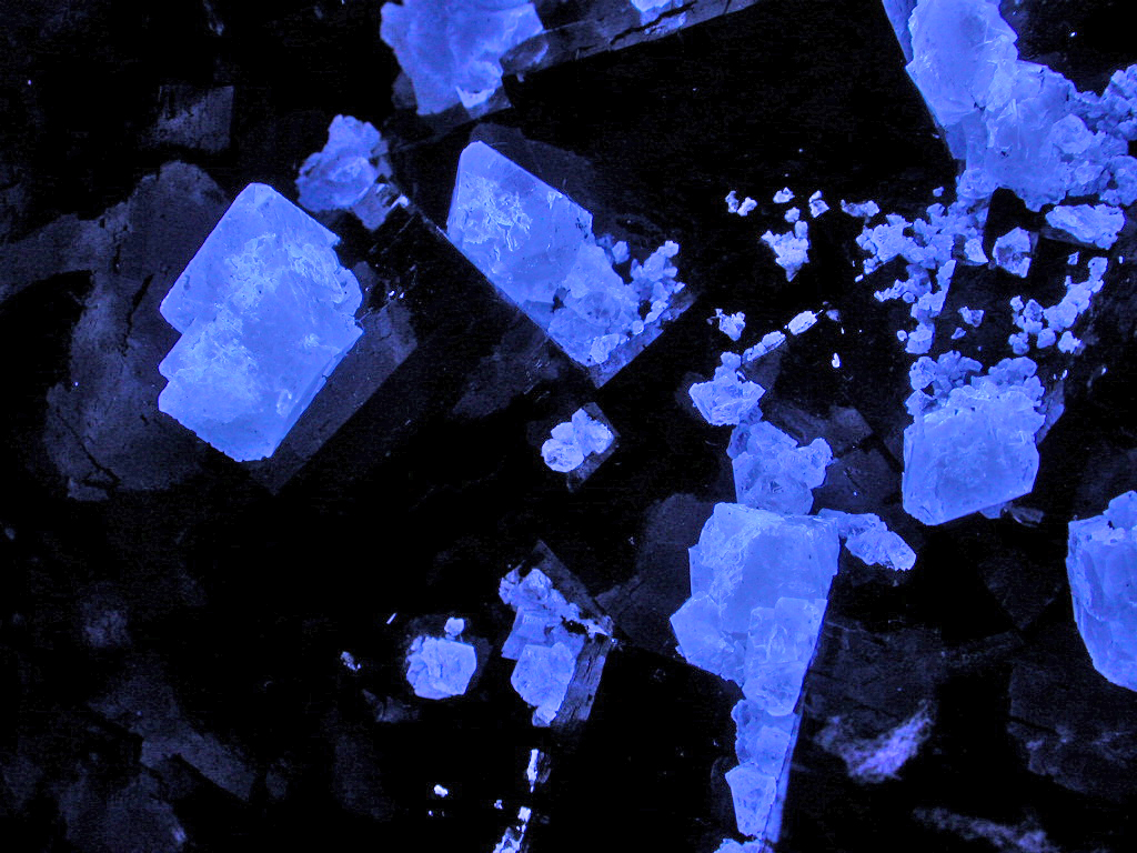 Fluorite & Scheelite