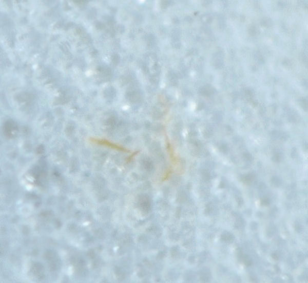 Ferrisepiolite