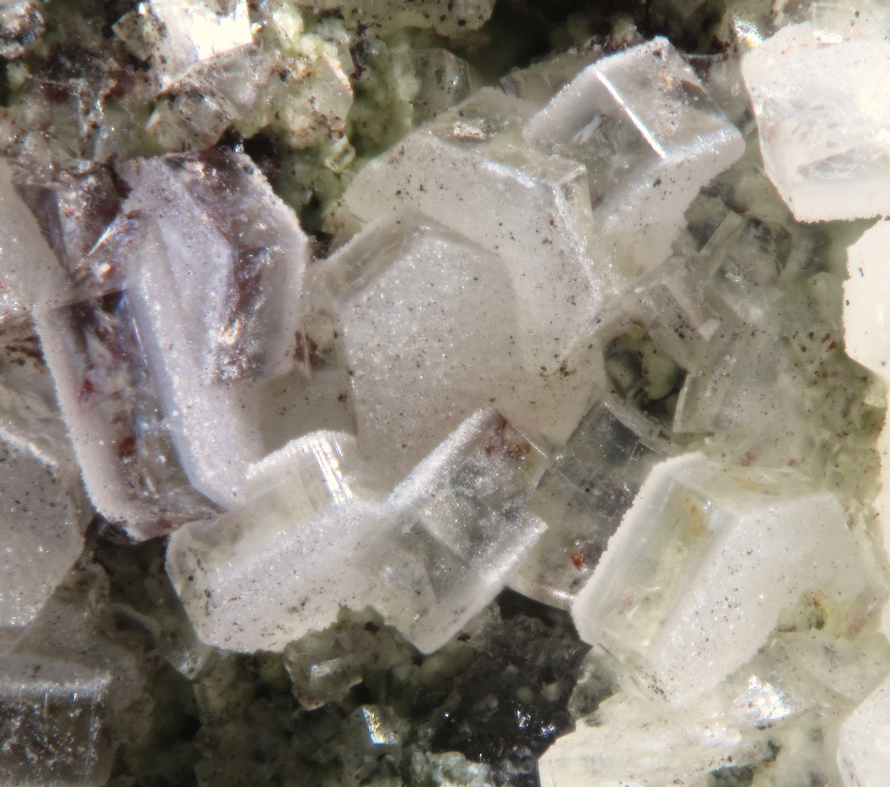 Hedyphane