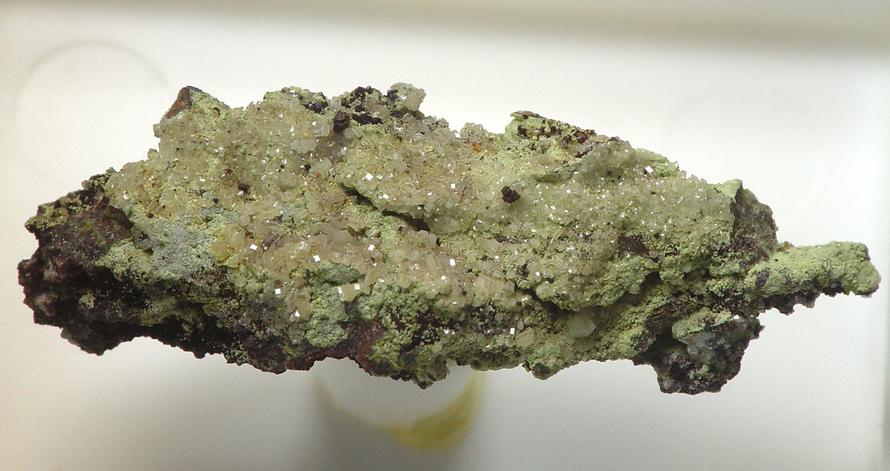 Hedyphane