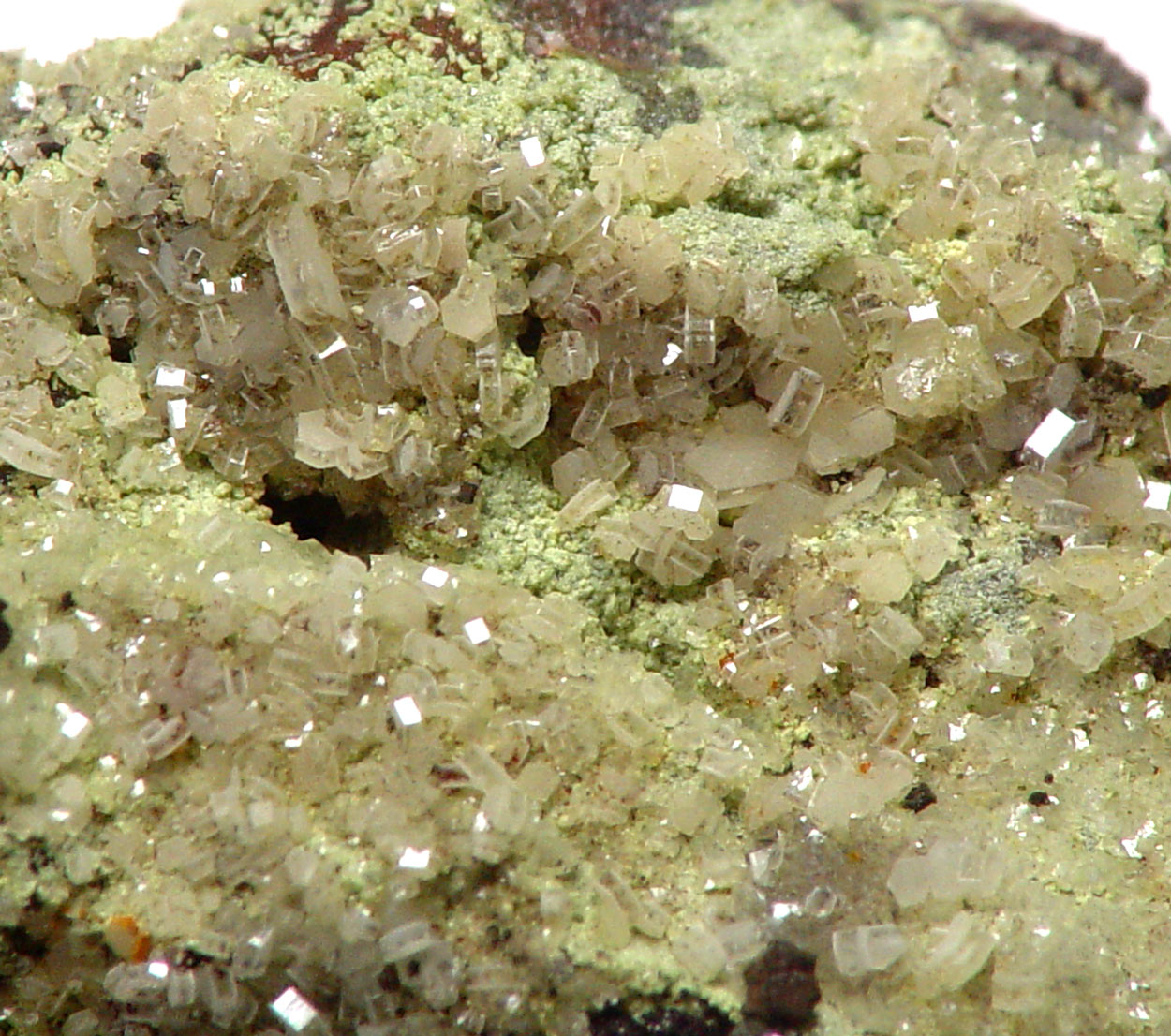 Hedyphane