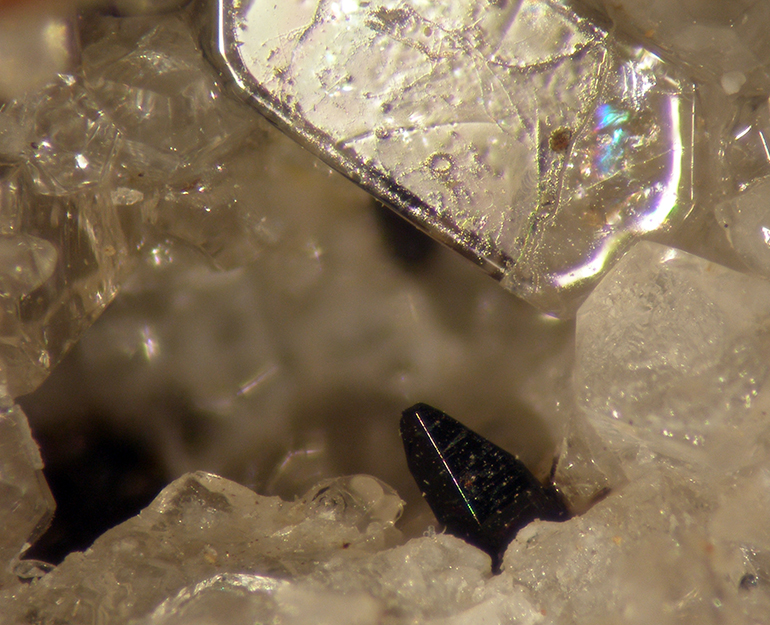 Allanite-(Ce) & Sodalite