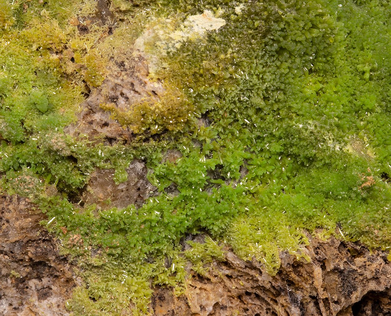 Pyromorphite
