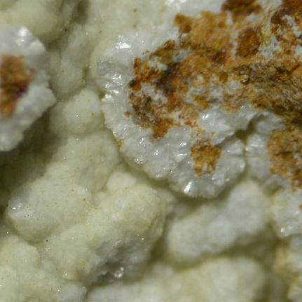 Matulaite