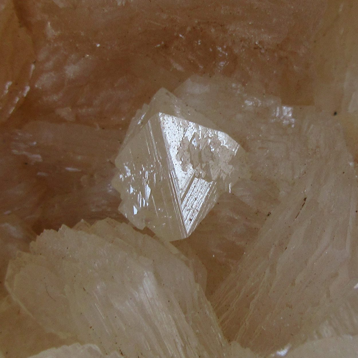 Powellite On Stilbite