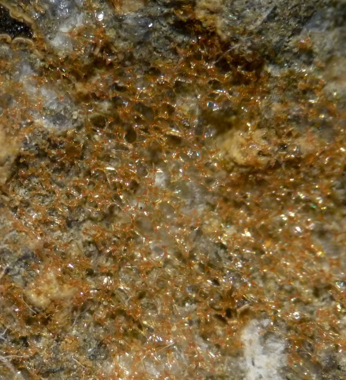 Reticulite & Epistilbite