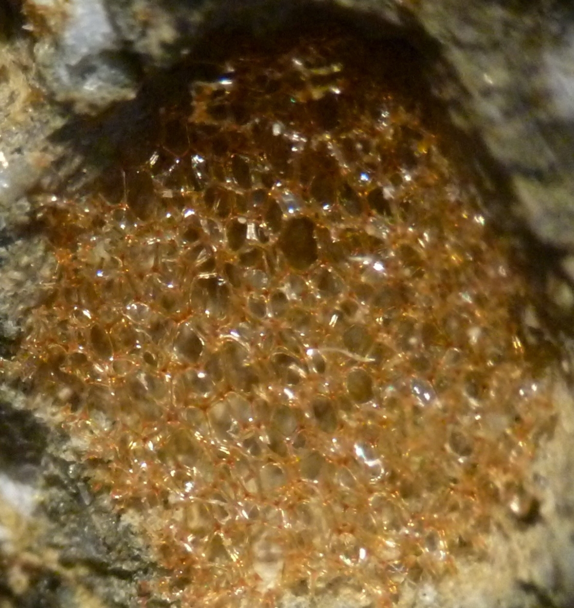 Reticulite & Epistilbite