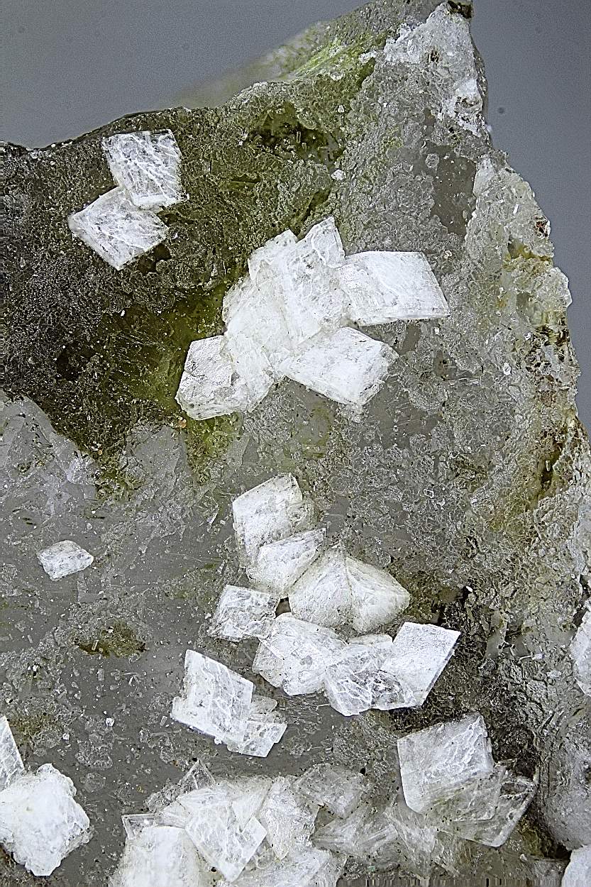 Whitlockite