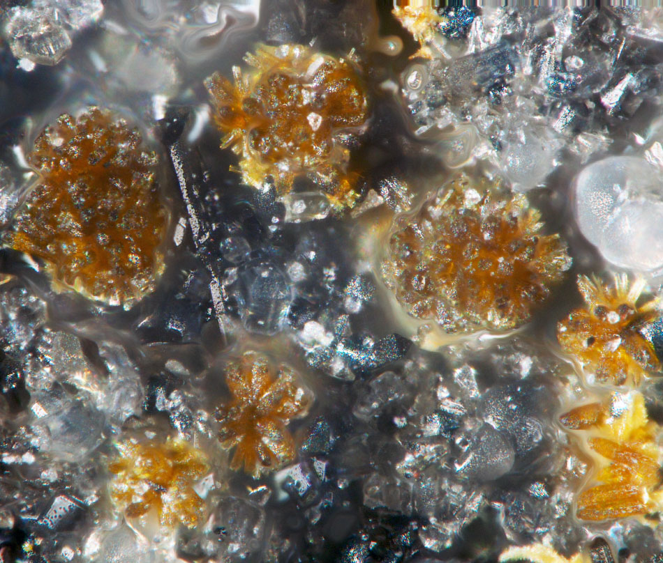 Engelhauptite
