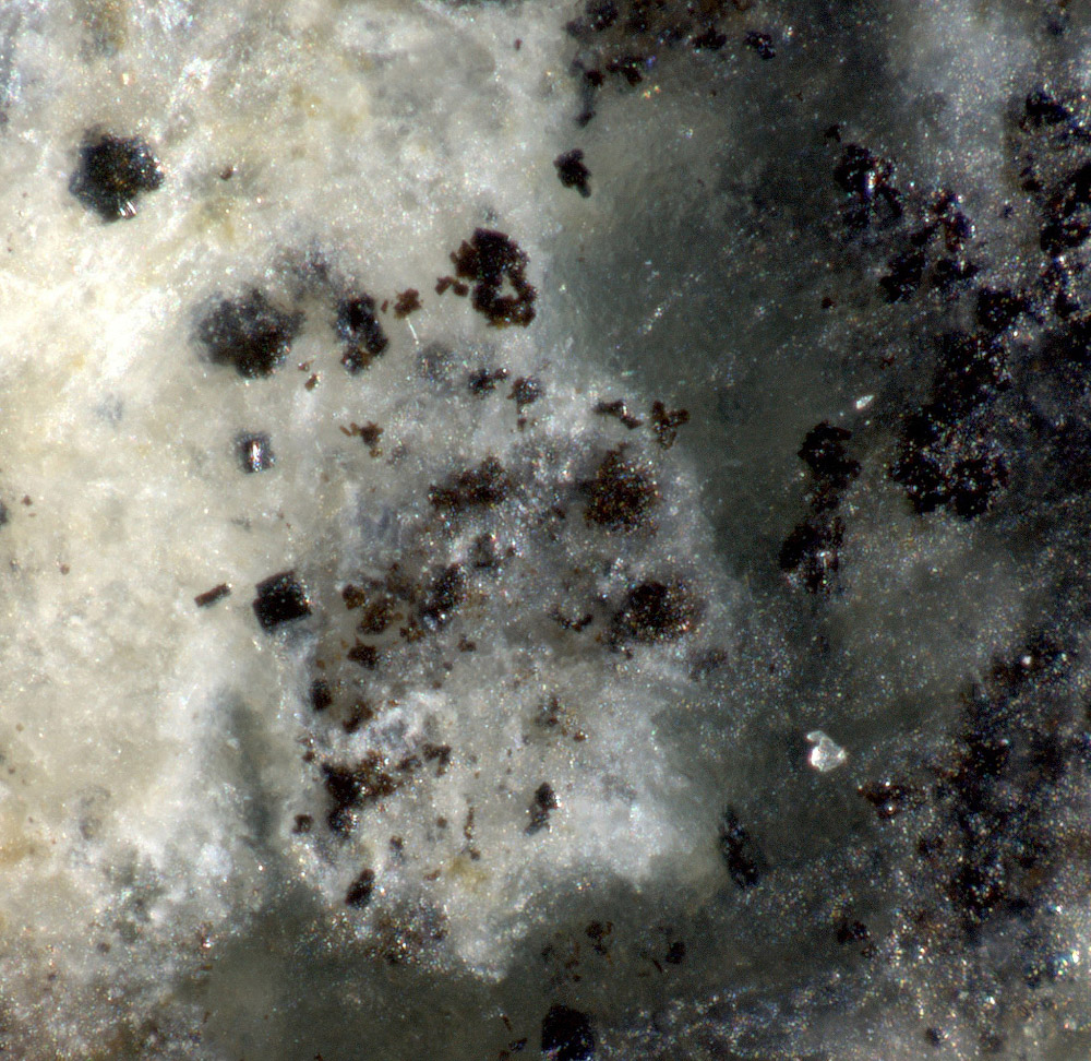 Sharyginite