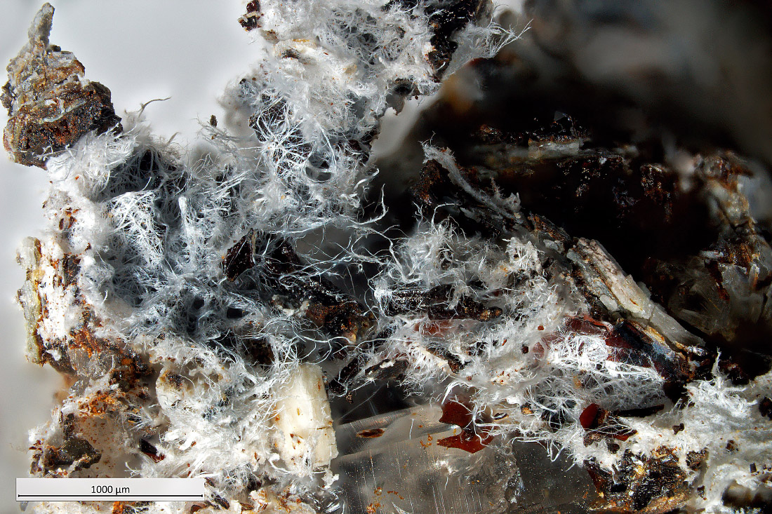 Tavagnascoite