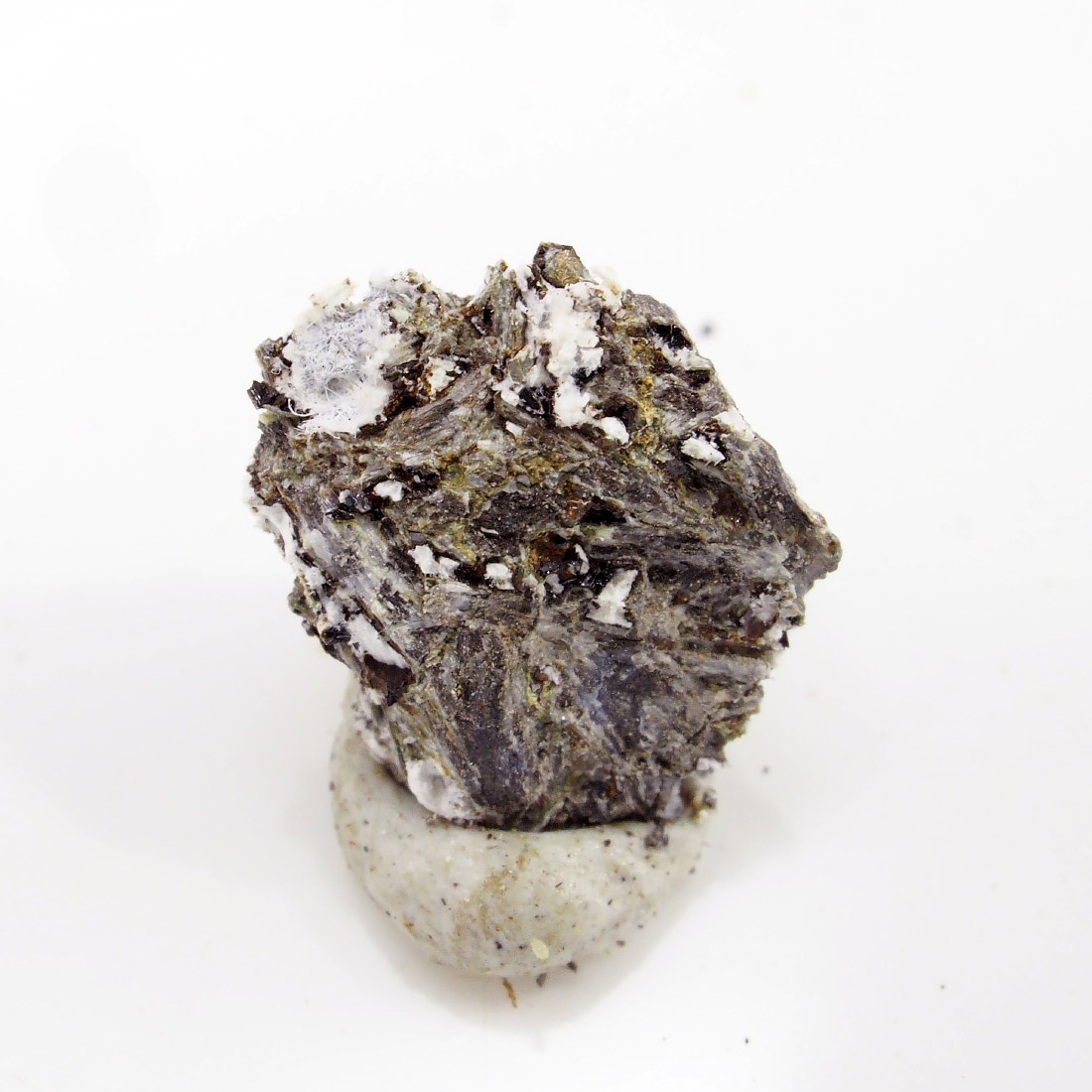 Tavagnascoite