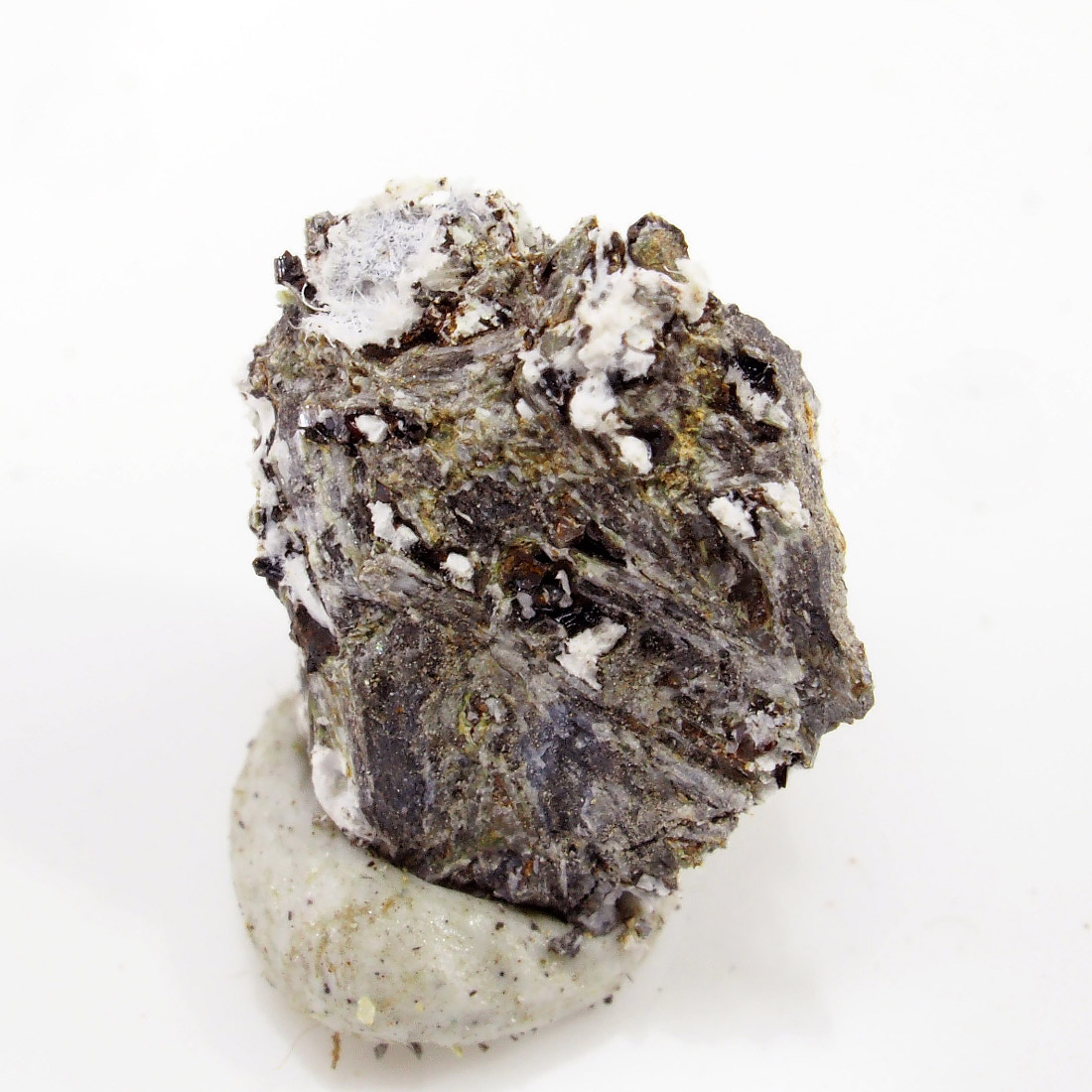 Tavagnascoite