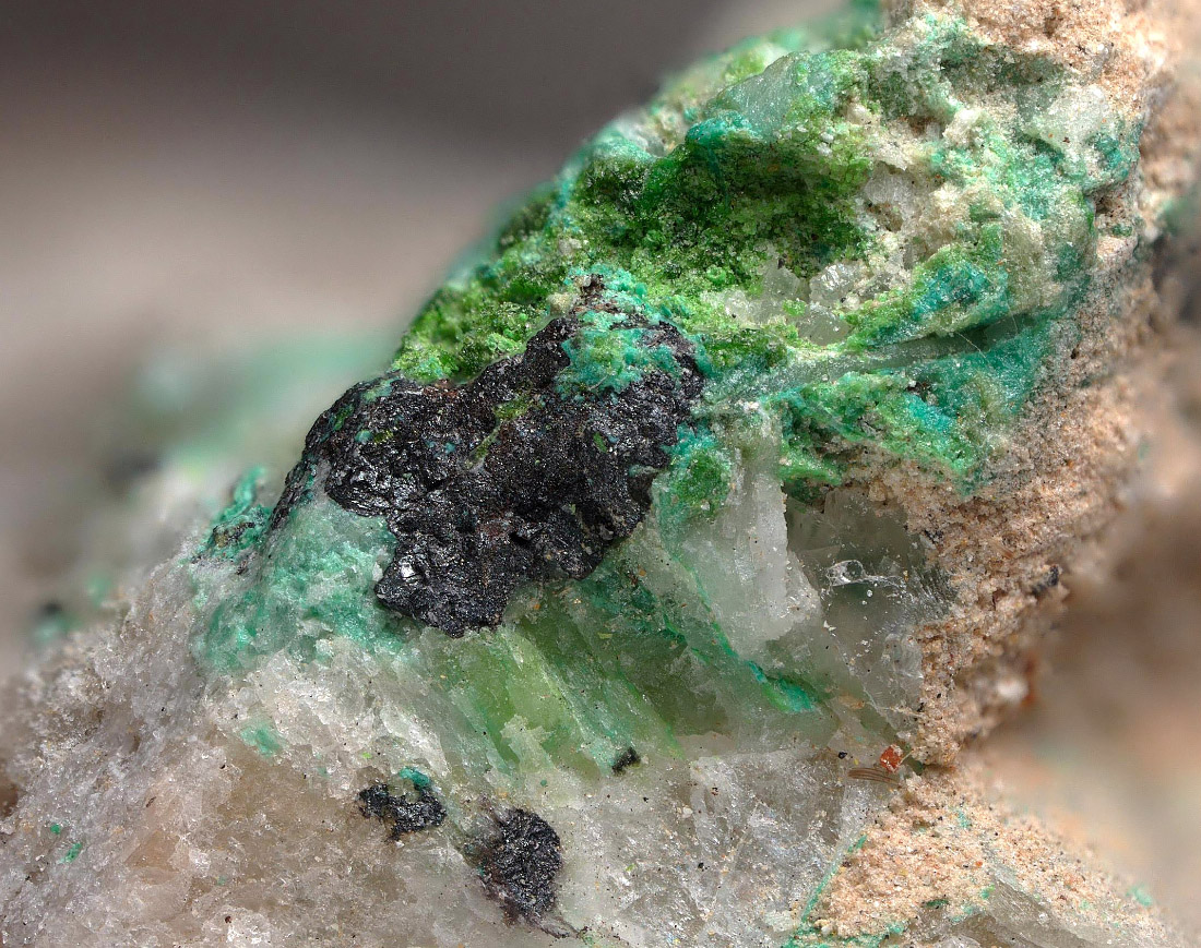 Rozhdestvenskayaite-(Zn) & Hessite