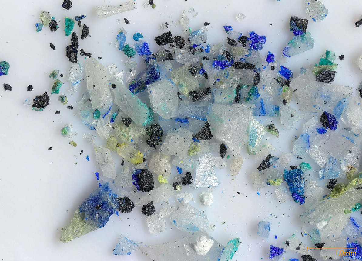 Cervelleite & Tlapallite