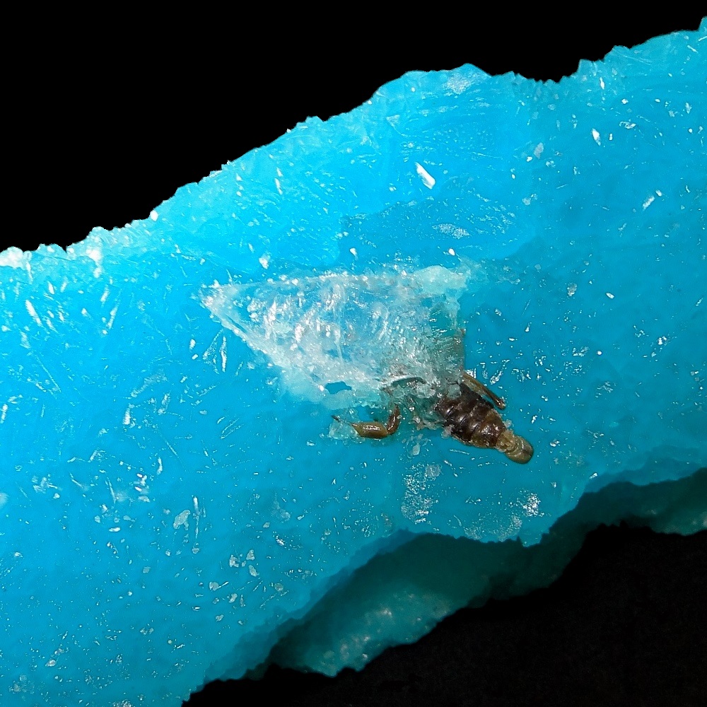 Kröhnkite & Blödite