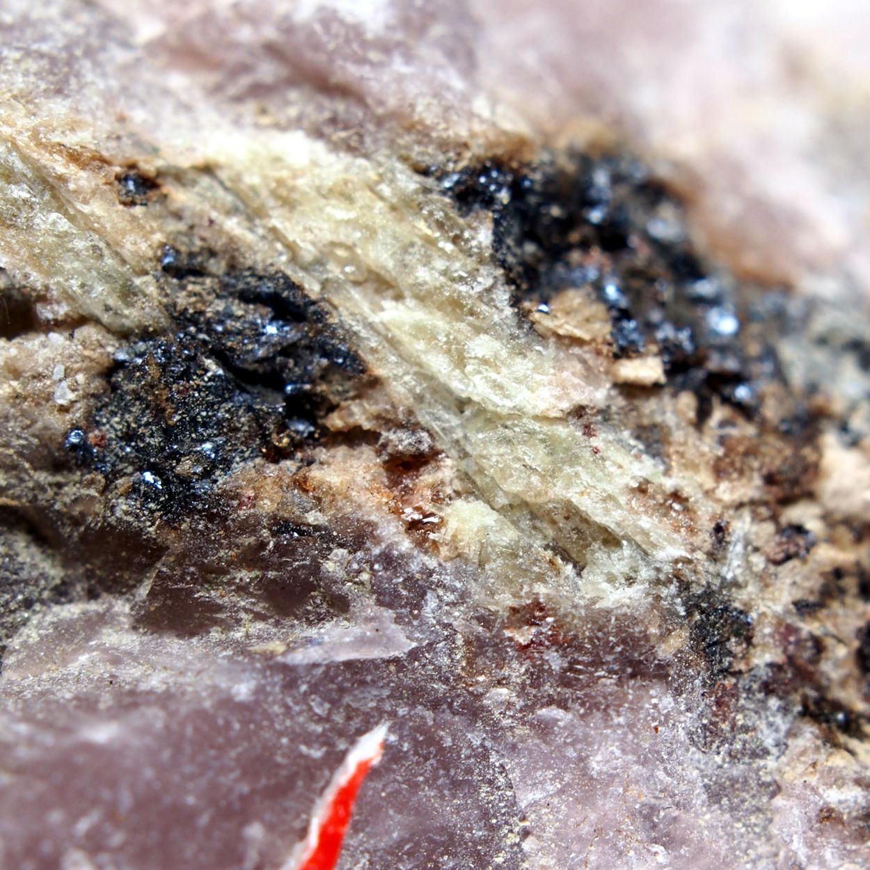 Belovite-(Ce)