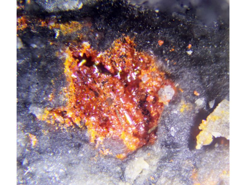 Polhemusite