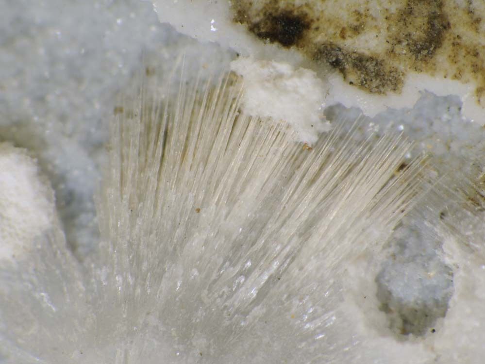 Tacharanite & Gonnardite
