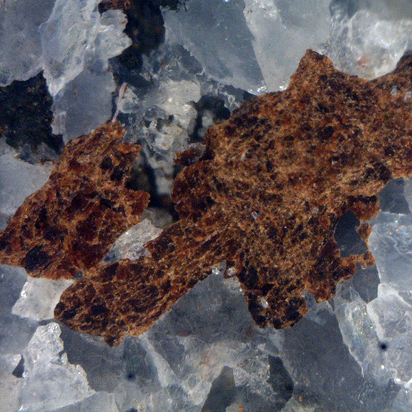 Gamagarite
