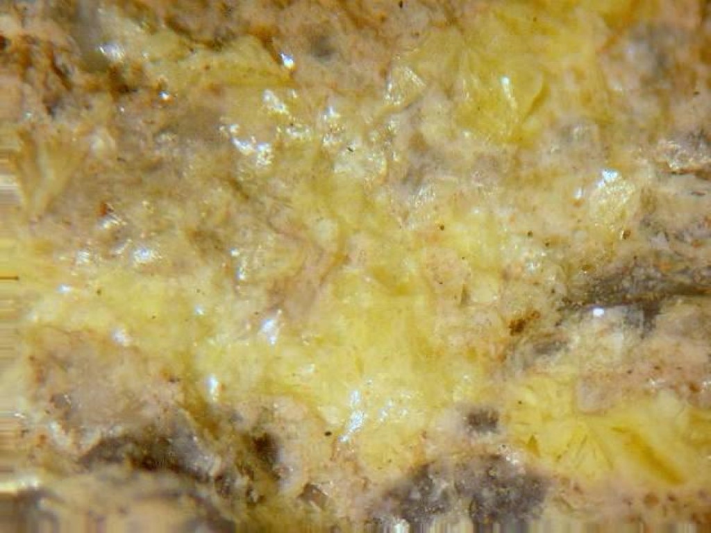 Metaheinrichite