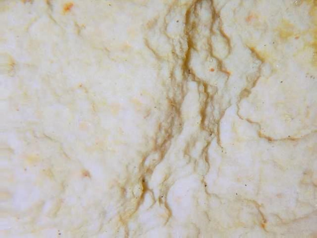 Coesite & Stishovite