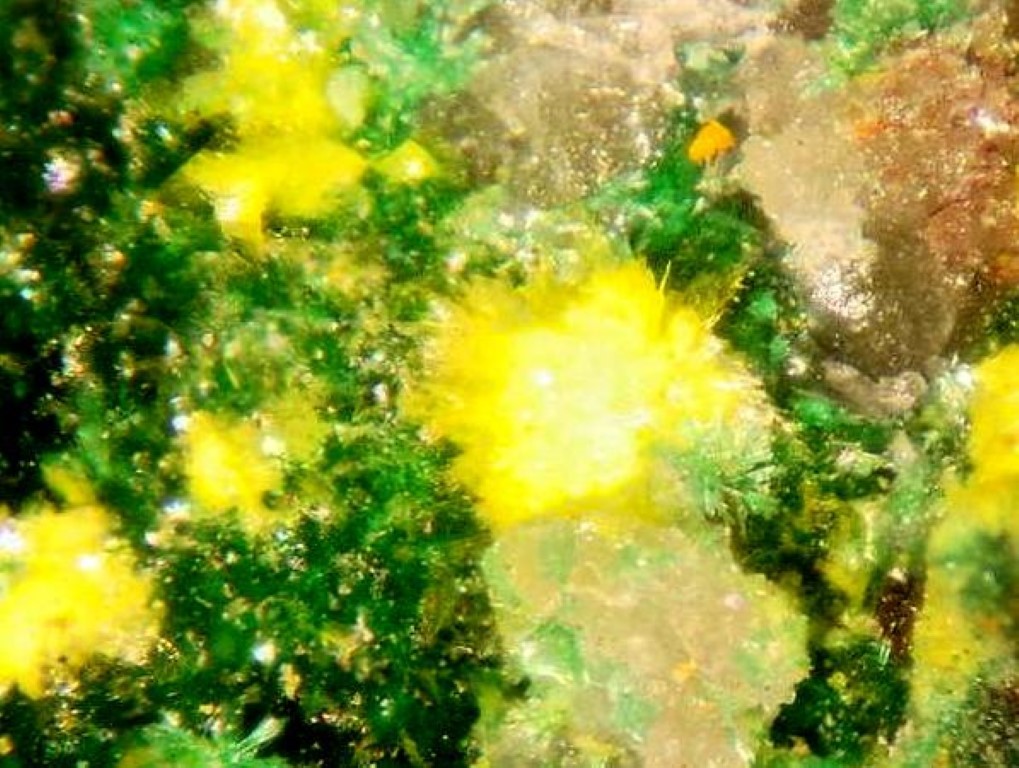 Guilleminite