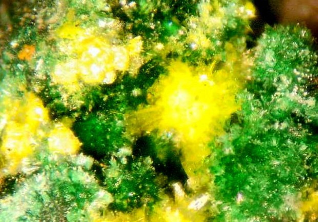 Guilleminite