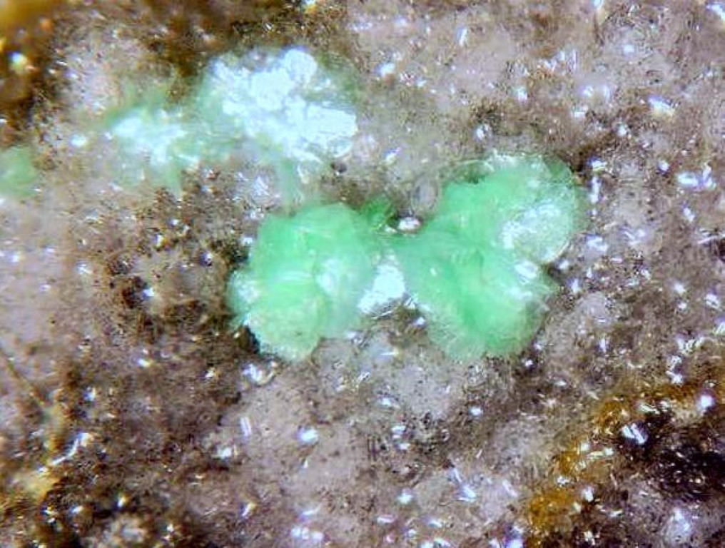 Torbernite & Wavellite