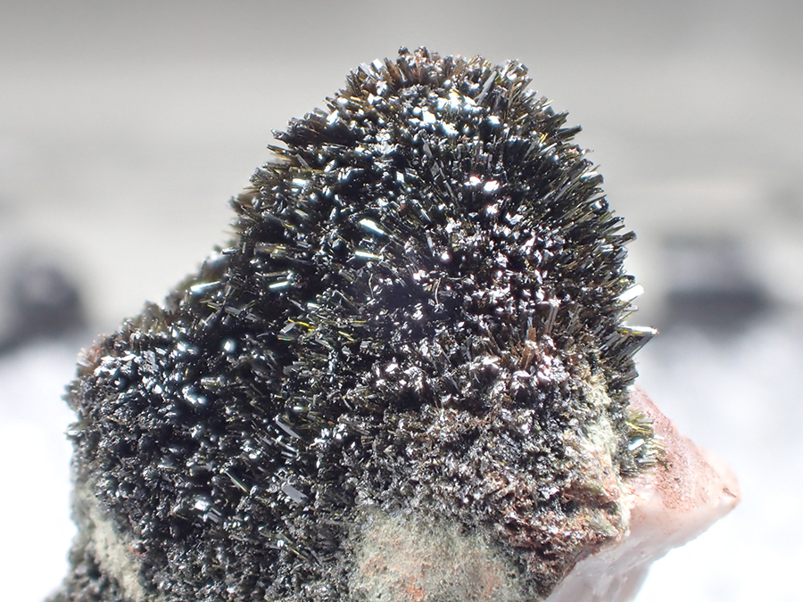 Mottramite