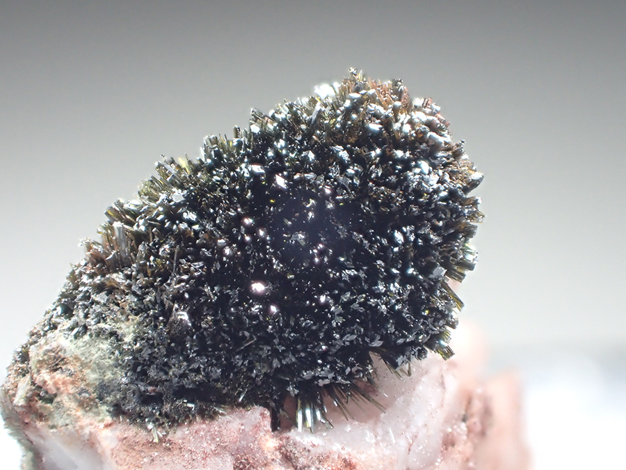 Mottramite