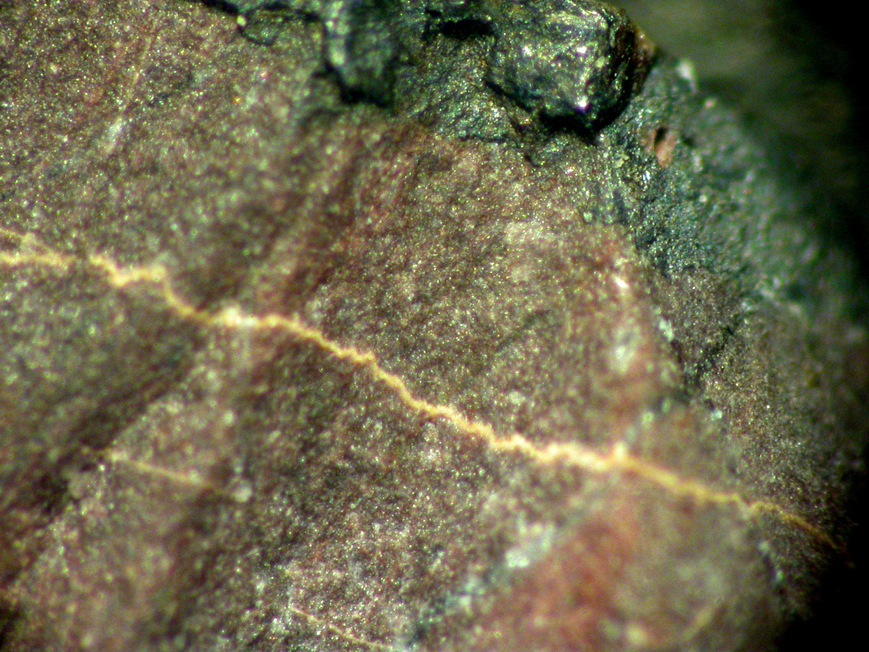 Kannanite