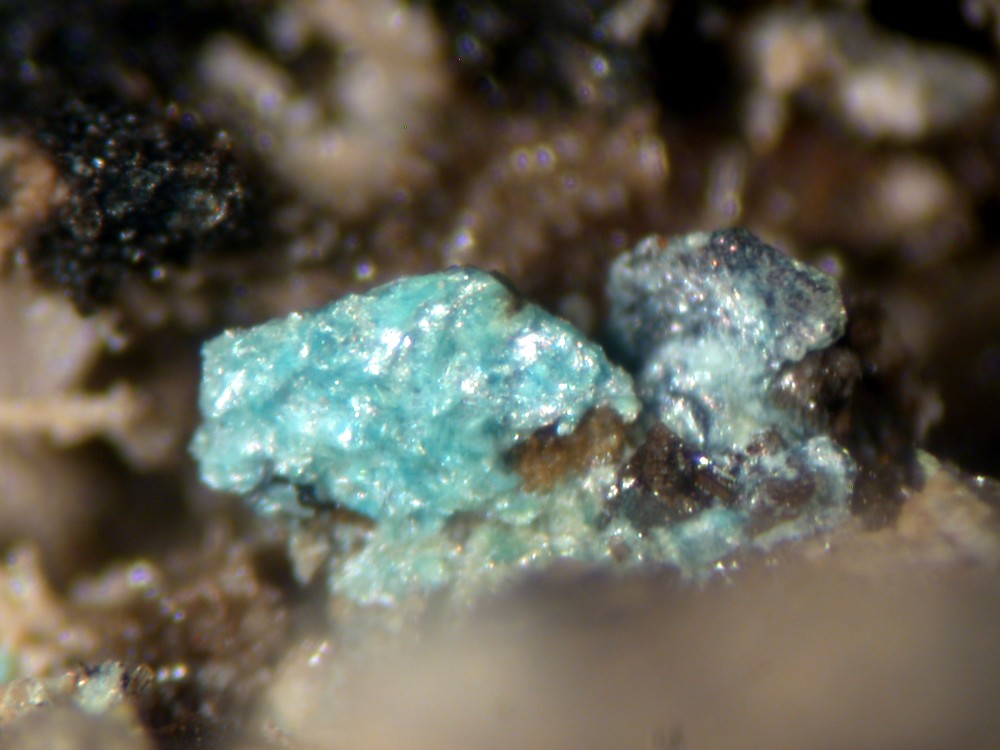 Liroconite Alleghanyite & Covellite