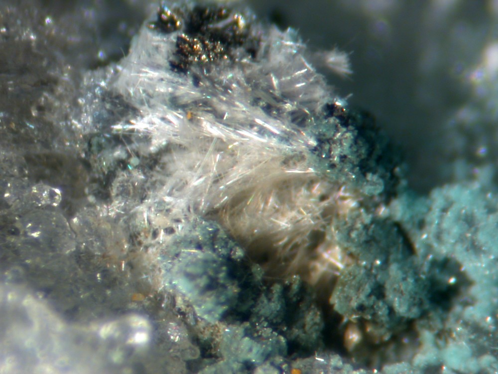 Steverustite Caledonite & Susannite