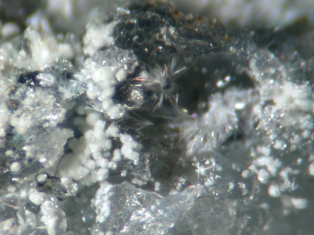 Steverustite Caledonite & Susannite