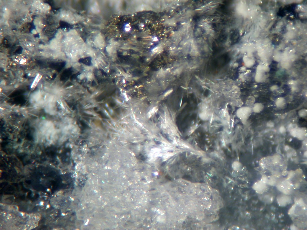 Steverustite Caledonite & Susannite