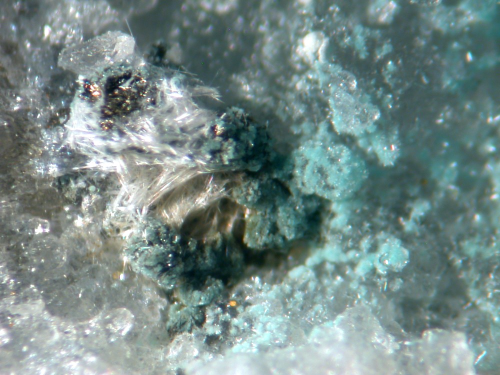Steverustite Caledonite & Susannite