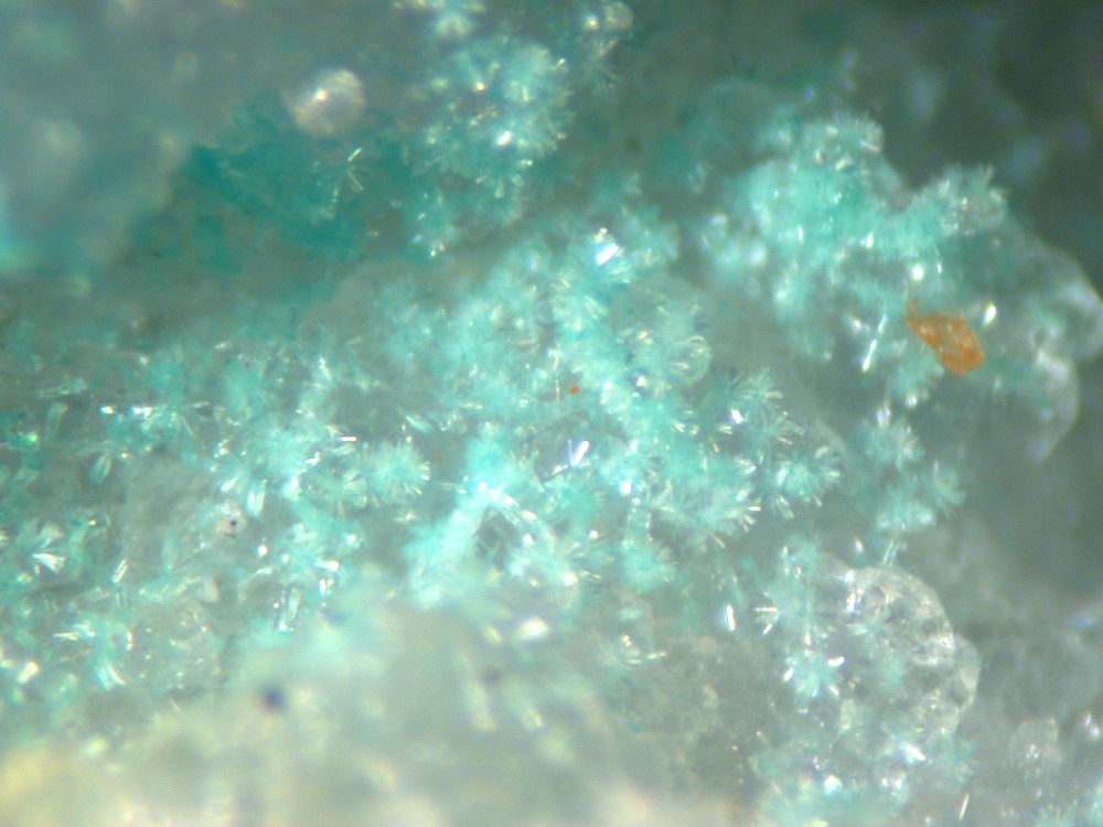 Steverustite Caledonite & Susannite