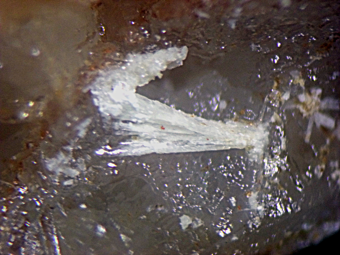 Syngenite