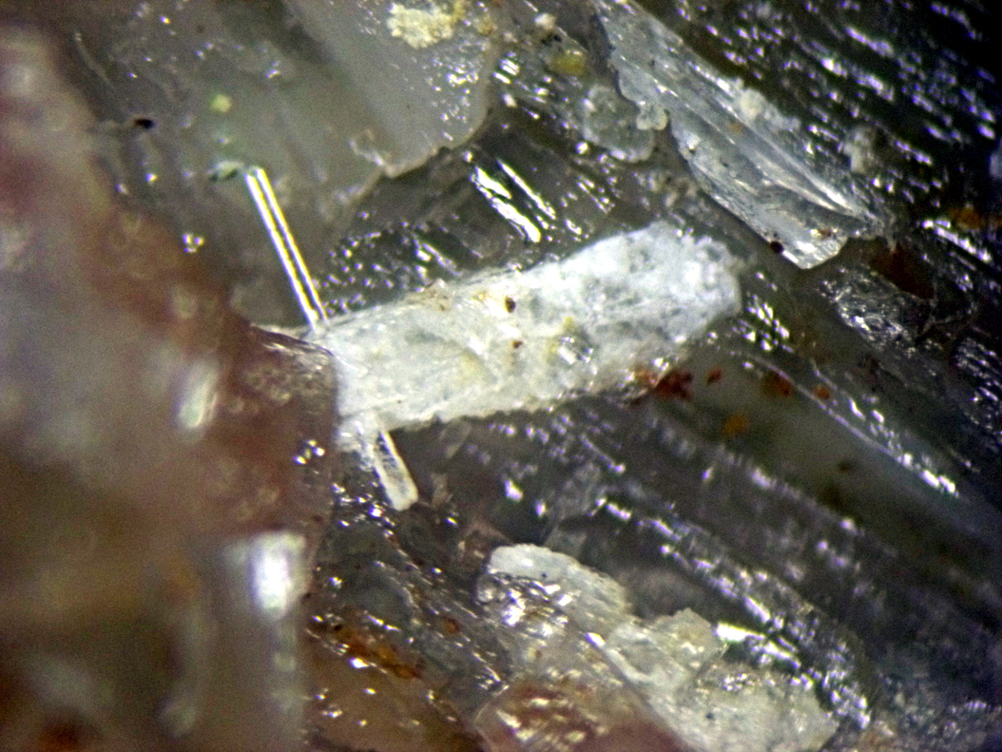 Syngenite