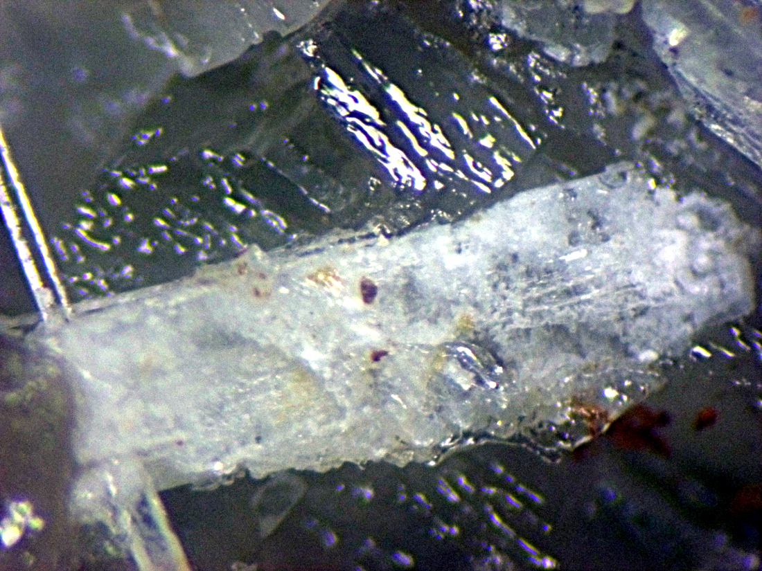 Syngenite