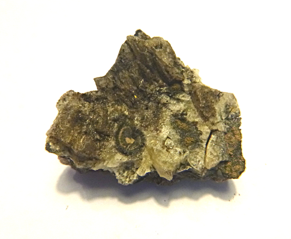 Montroseite