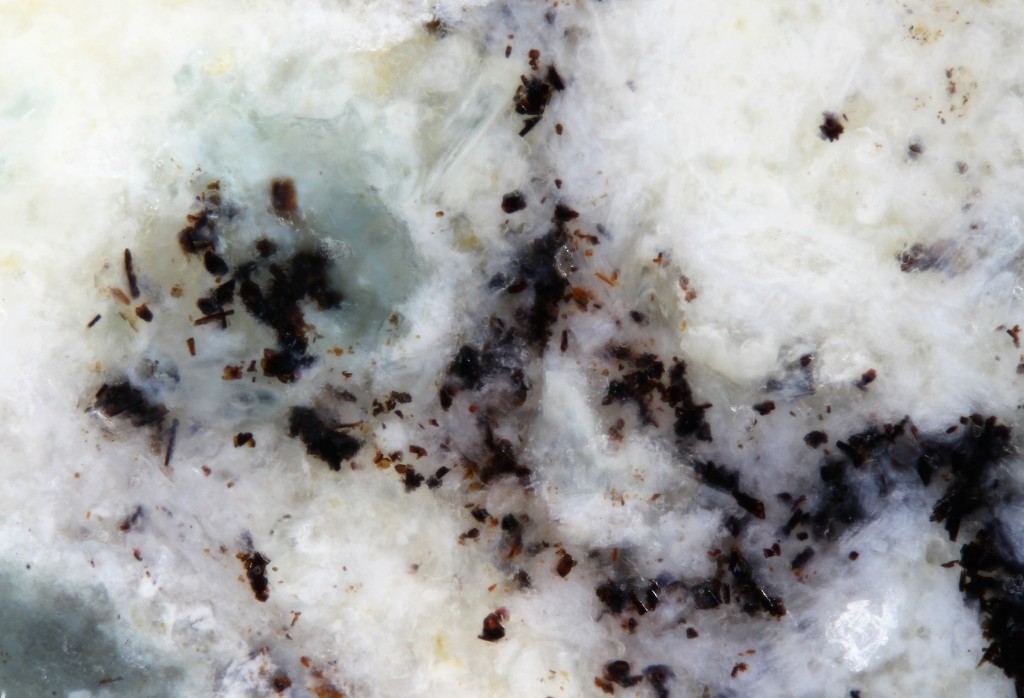 Sharyginite