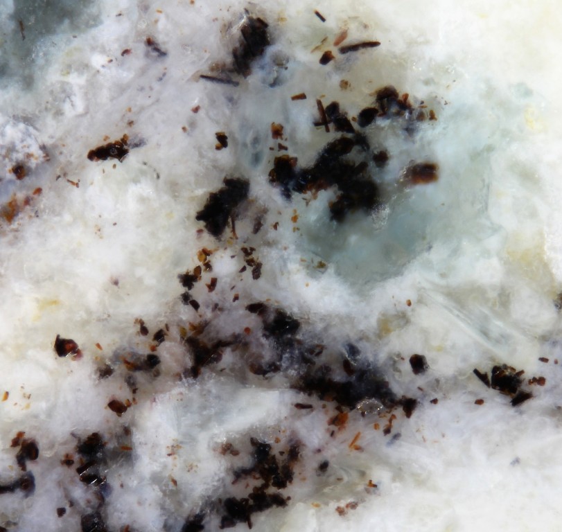 Sharyginite
