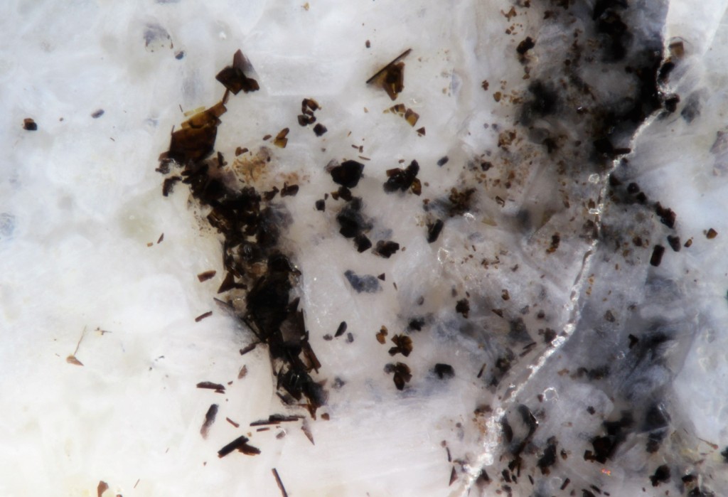 Sharyginite