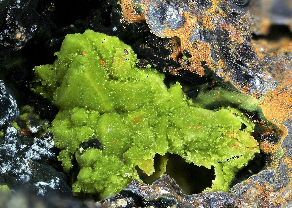 Chenevixite Psm Scorodite