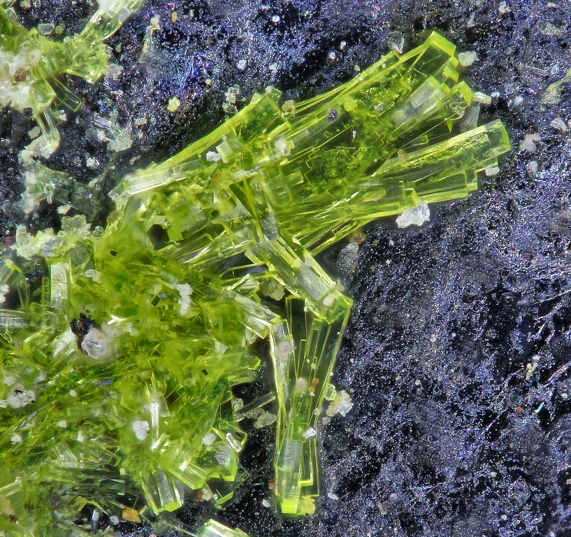 Ammoniomathesiusite