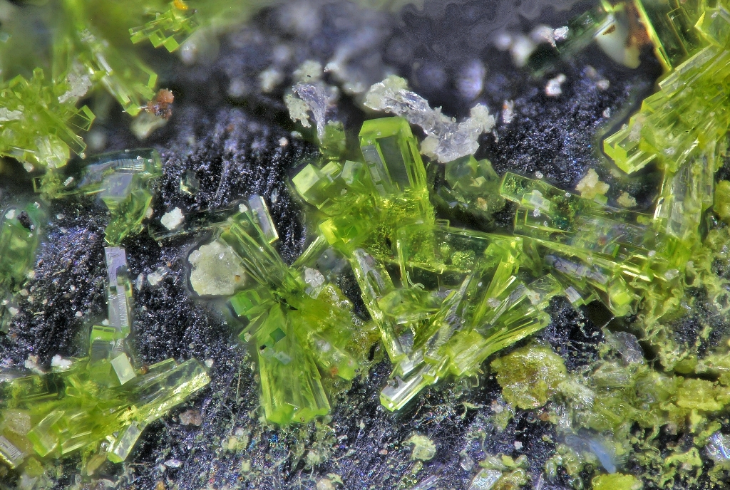 Ammoniomathesiusite